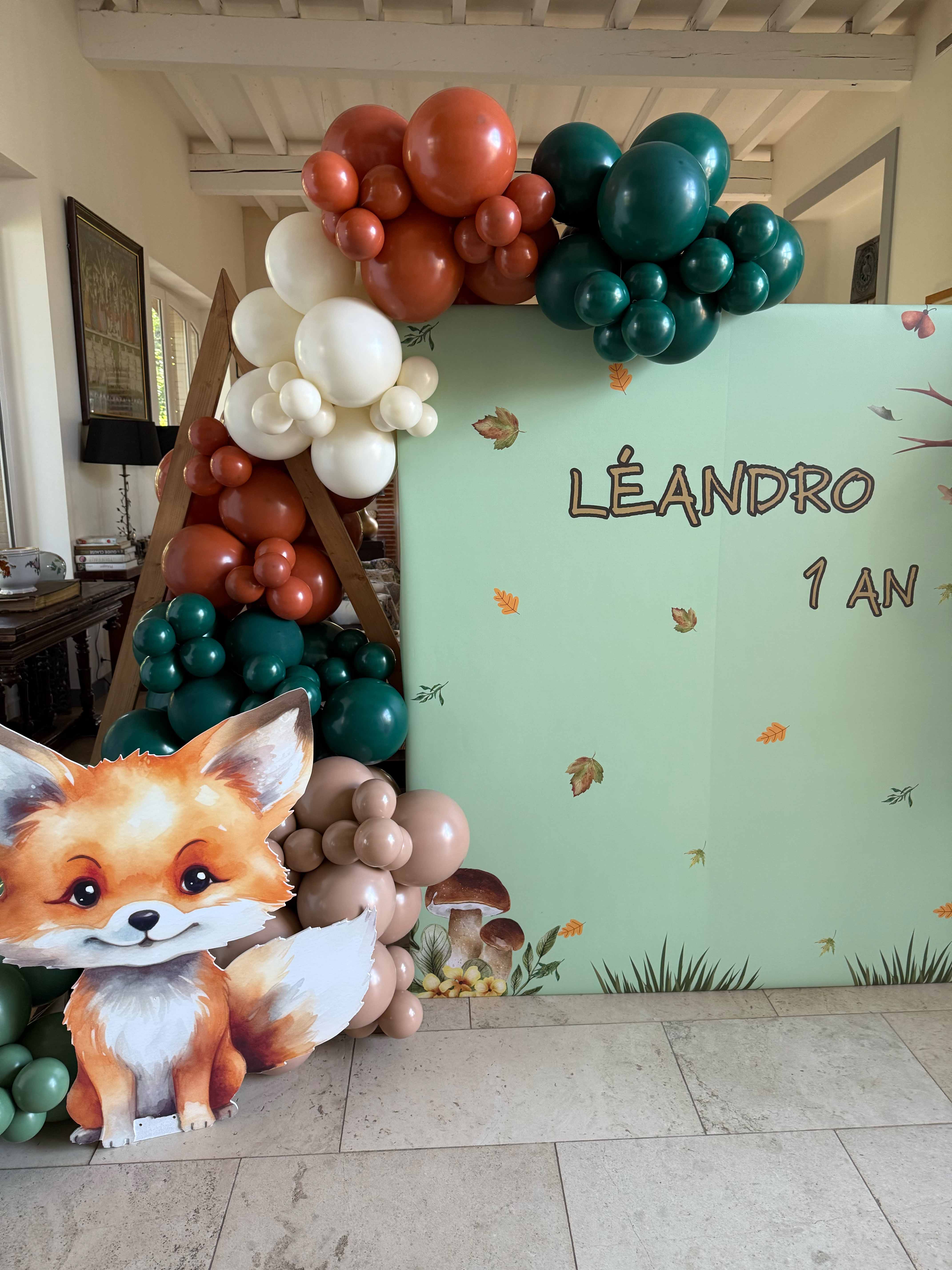 Anniversaire décoration Toulouse Animaux